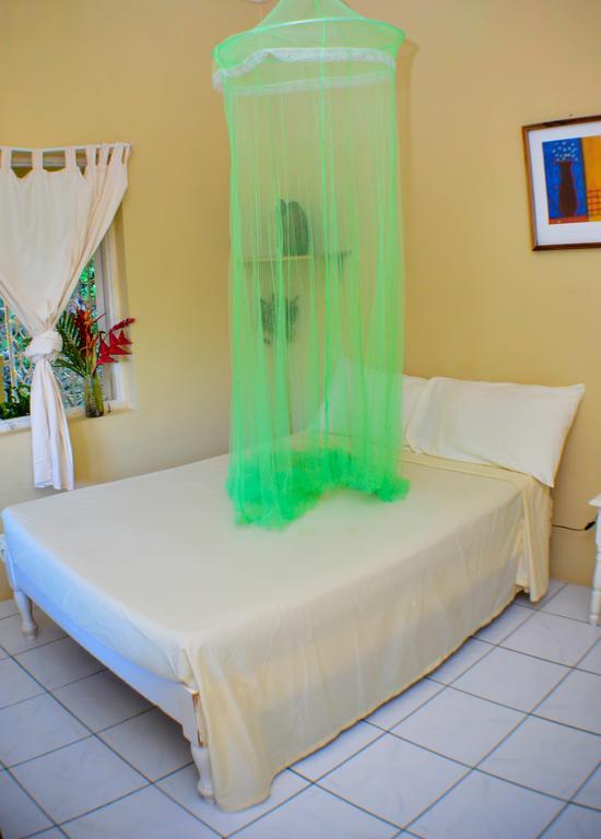Ackee Tree Sea View Villa Port Antonio Exterior foto