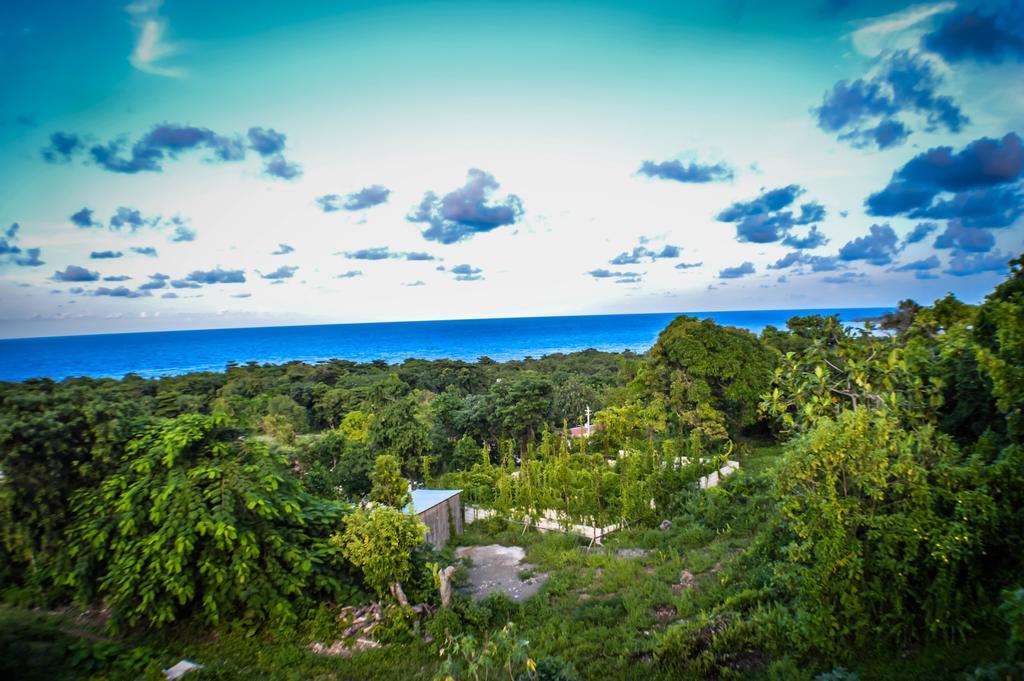 Ackee Tree Sea View Villa Port Antonio Exterior foto