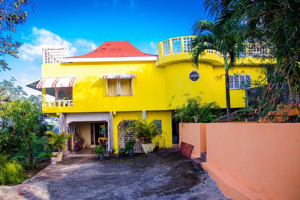 Ackee Tree Sea View Villa Port Antonio Exterior foto